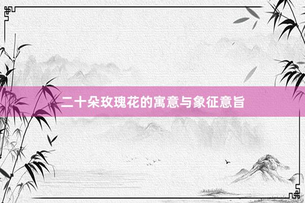 二十朵玫瑰花的寓意与象征意旨