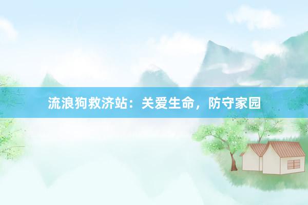 流浪狗救济站：关爱生命，防守家园