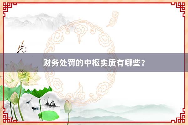 财务处罚的中枢实质有哪些？